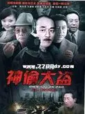 神偷大盗(2011)