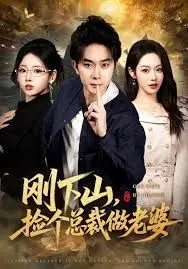 刚下山捡个总裁做老婆