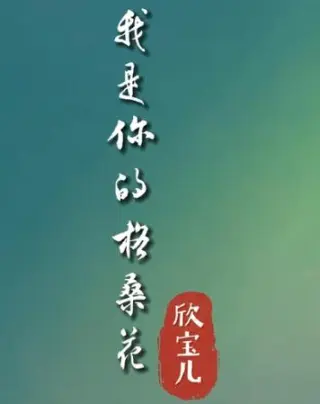 我是你的格桑花mv