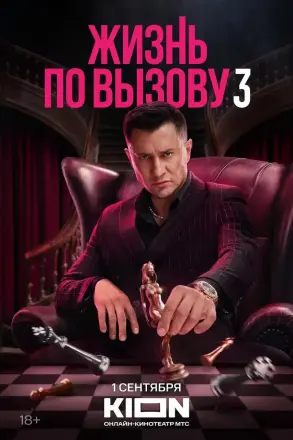 应召生涯3