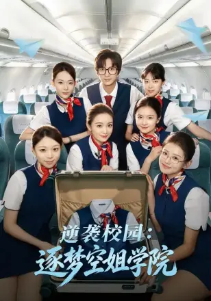逆袭校园:逐梦空姐学院