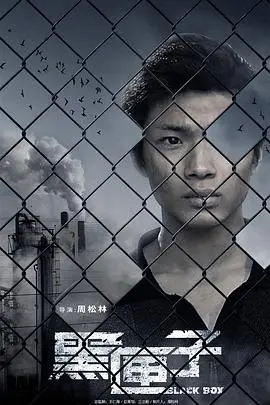黑匣子(2010)