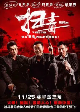 扫毒(2013)