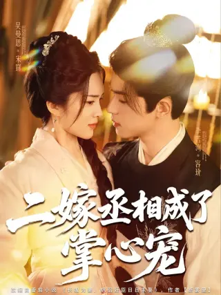 二嫁丞相成了掌心宠