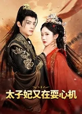 太子妃又在耍心机 人家才不是坏女人