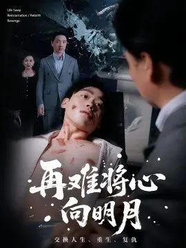再难将心向明月