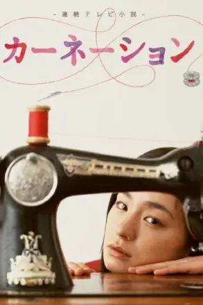 康乃馨