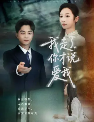 我走了你才说爱我