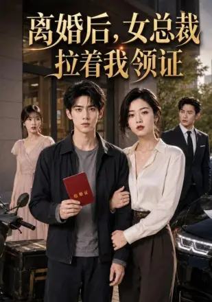 离婚后女总裁拉着我领证
