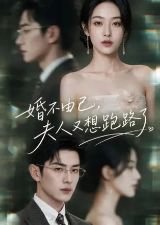 婚不由己，夫人又想跑路了