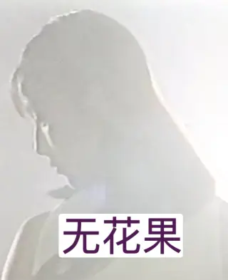 无花果（1996）