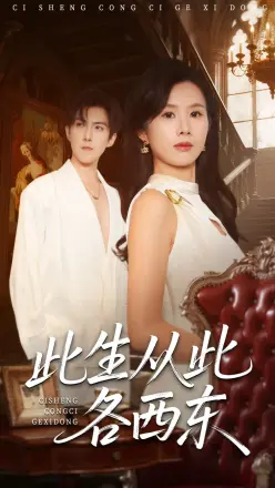 此生从此各西东