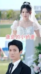唐总的小娇妻