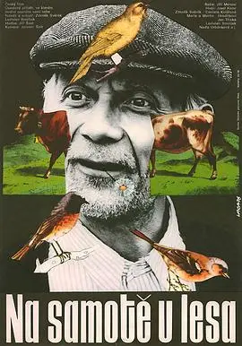 森林边缘的寂寞(1976)
