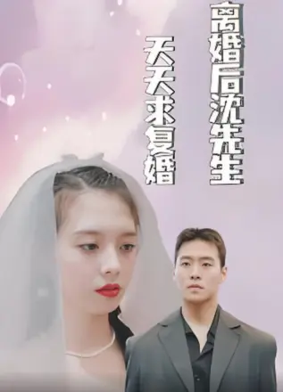 离婚后沈先生天天求复婚