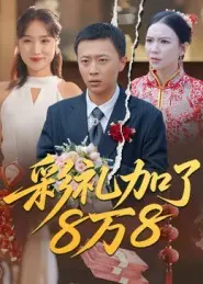 彩礼加了8万8
