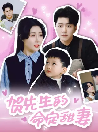 贺先生的命定甜妻