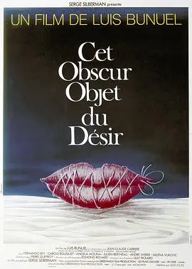 朦胧的欲望(1977)