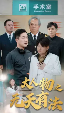 新大人物之无天有法