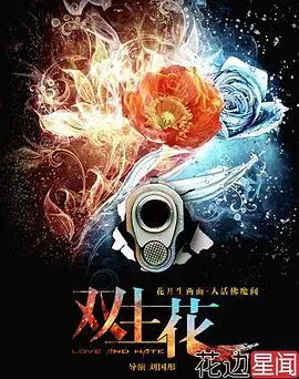 双生花2014