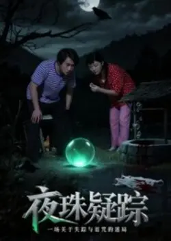 夜珠疑踪
