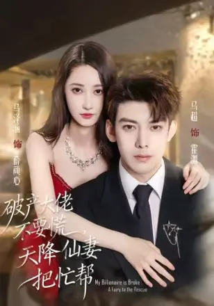 破产大佬不要慌天降仙妻把忙帮(2026)