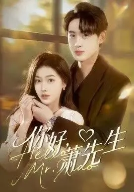 你好,萧先生