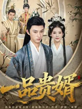 一品贵婿