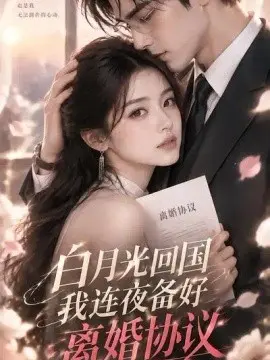 白月光回国我连夜备好离婚协议第一季