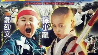 龙在少林89分完整版1996tvrip2ac3