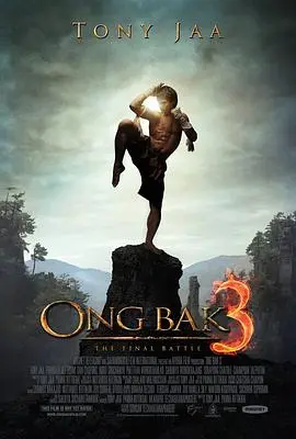 拳霸3(2010)