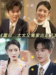 霍总,太太又离家出走了