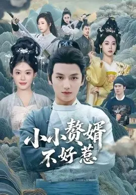 小小赘婿不好惹