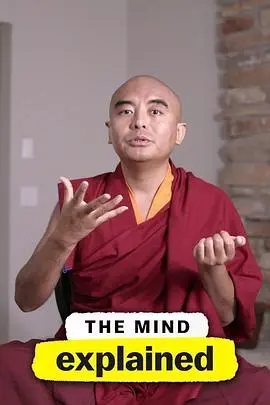 头脑解密第一季