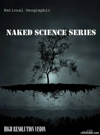 国家地理科学新发现系列子弹研究