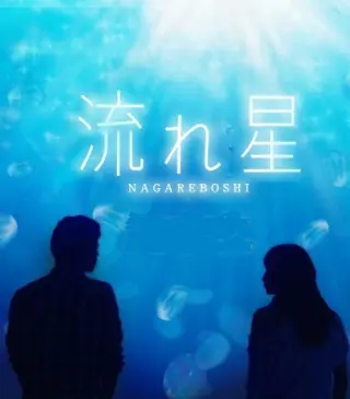 流星 日版