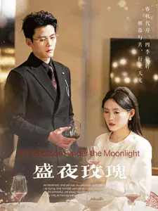 盛夜玫瑰