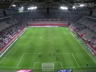 法甲联赛 尼斯VS勒阿弗尔 20241208