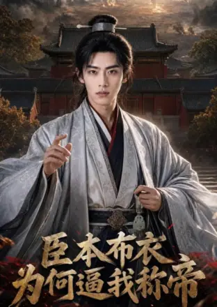 臣本布衣，为何逼我称帝