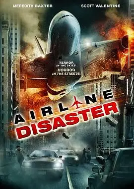 空难(2010)