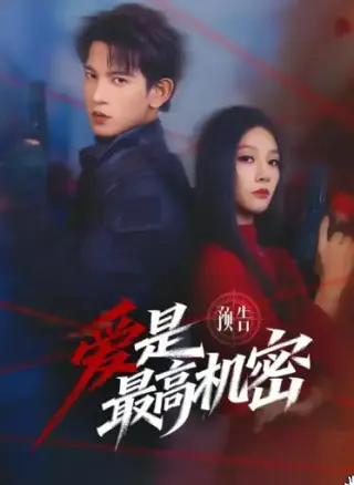 爱是最高机密
