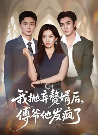 我抛弃赘婿后傅爷他发疯了