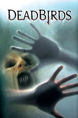 索魂恶鸟(2004)