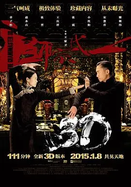 一代宗师(国语版)