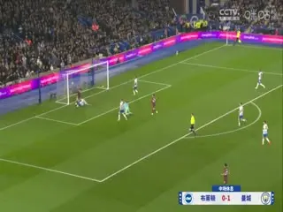 英超联赛 布莱顿VS曼城 20241110