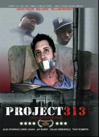 313计划