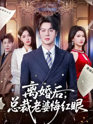 离婚后,总裁老婆悔红眼