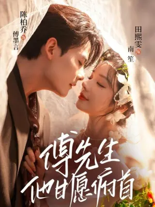 傅先生他甘愿俯首