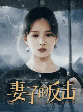 妻子的反击（消失的爱人）