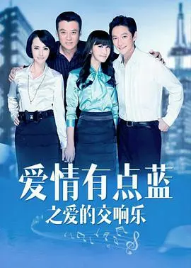 爱情有点蓝之爱的交响乐(2011)